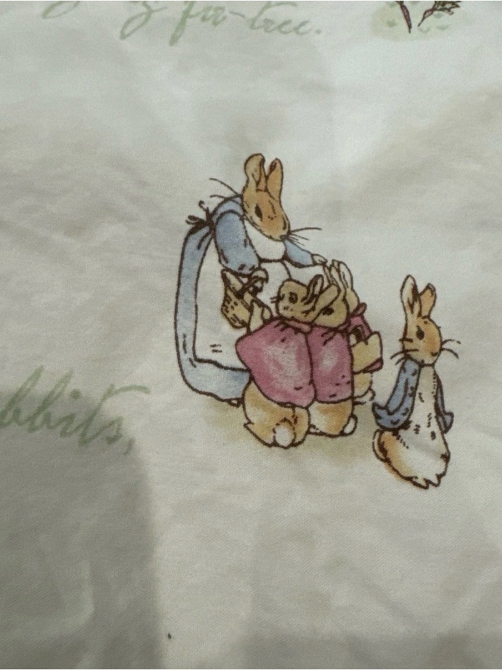 Pottery Barn Peter Rabbit Crib Bedsheet - Picture 2 of 6